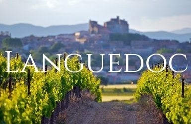 Holiday home in the Languedoc